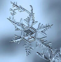 Jack frost