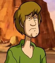 Shaggy